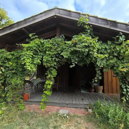Wooden House Σπίτι διακοπών Uzeste