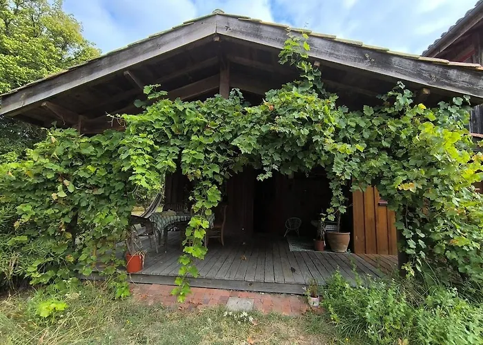 Wooden House بيت للعطل Uzeste